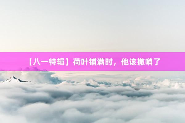 【八一特辑】荷叶铺满时，他该撤哨了