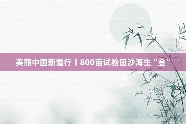 美丽中国新疆行丨800亩试验田沙海生“金”