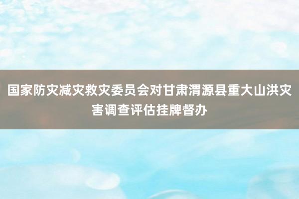 国家防灾减灾救灾委员会对甘肃渭源县重大山洪灾害调查评估挂牌督办