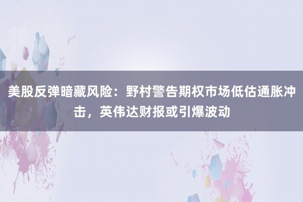 美股反弹暗藏风险：野村警告期权市场低估通胀冲击，英伟达财报或引爆波动