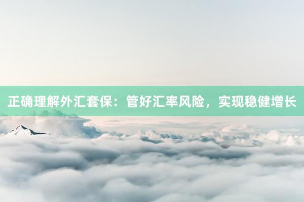 正确理解外汇套保：管好汇率风险，实现稳健增长
