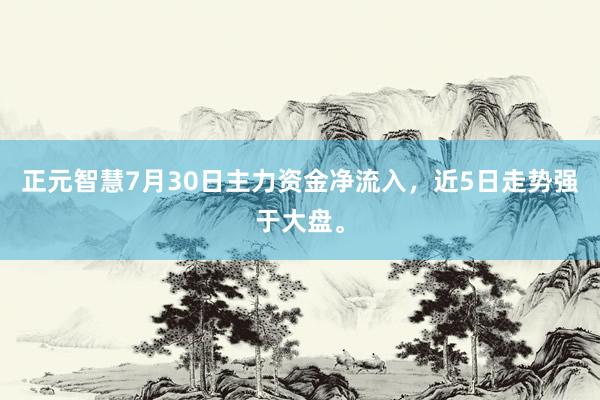 正元智慧7月30日主力资金净流入，近5日走势强于大盘。