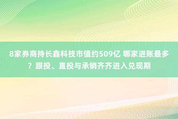 8家券商持长鑫科技市值约509亿 哪家进账最多？跟投、直投与承销齐齐进入兑现期