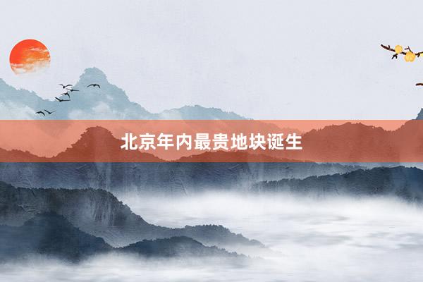 北京年内最贵地块诞生