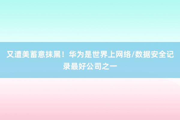又遭美蓄意抹黑！华为是世界上网络/数据安全记录最好公司之一