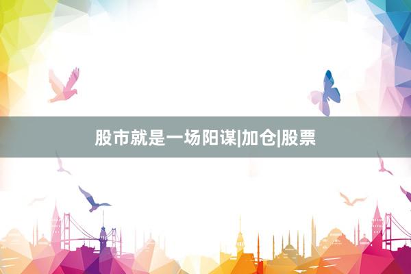 股市就是一场阳谋|加仓|股票