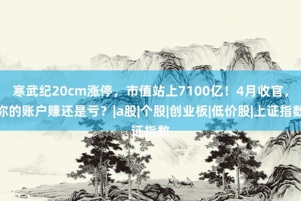 寒武纪20cm涨停，市值站上7100亿！4月收官，你的账户赚还是亏？|a股|个股|创业板|低价股|上证指数