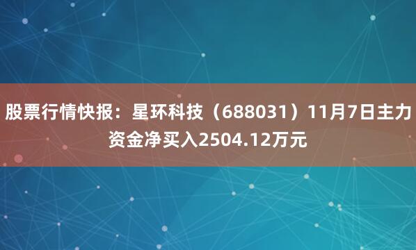 股票行情快报：星环科技（688031）11月7日主力资金净买入2504.12万元