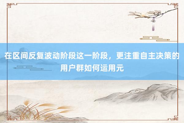 在区间反复波动阶段这一阶段，更注重自主决策的用户群如何运用元