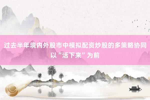 过去半年境内外股市中模拟配资炒股的多策略协同以“活下来”为前