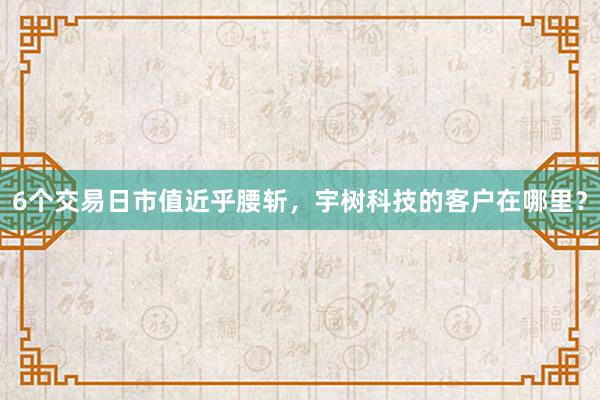 6个交易日市值近乎腰斩，宇树科技的客户在哪里？
