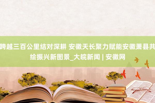 跨越三百公里结对深耕 安徽天长聚力赋能安徽萧县共绘振兴新图景_大皖新闻 | 安徽网