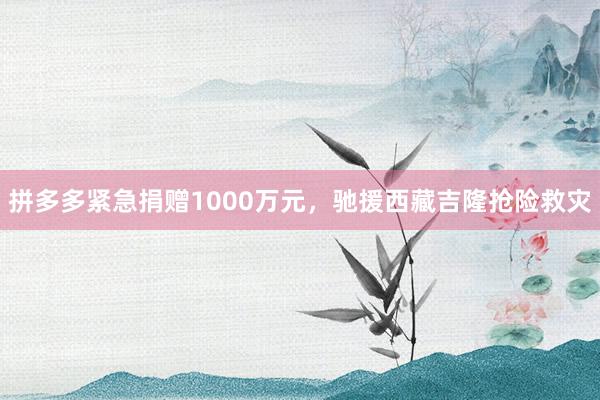 拼多多紧急捐赠1000万元，驰援西藏吉隆抢险救灾