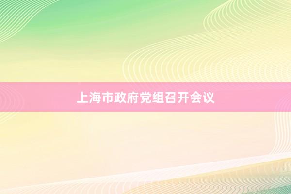 上海市政府党组召开会议