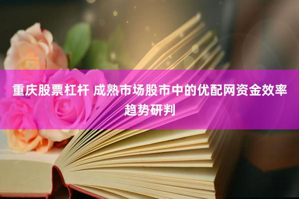 重庆股票杠杆 成熟市场股市中的优配网资金效率趋势研判