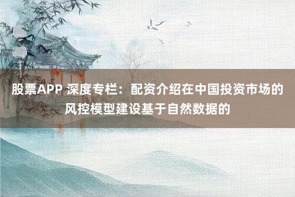 股票APP 深度专栏：配资介绍在中国投资市场的风控模型建设基于自然数据的