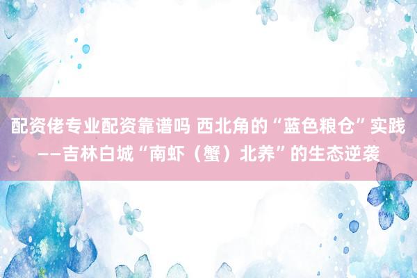配资佬专业配资靠谱吗 西北角的“蓝色粮仓”实践——吉林白城“南虾（蟹）北养”的生态逆袭