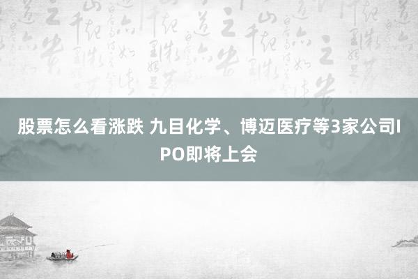 股票怎么看涨跌 九目化学、博迈医疗等3家公司IPO即将上会