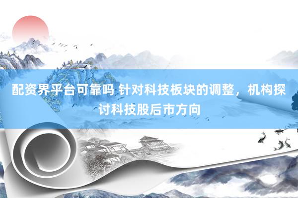 配资界平台可靠吗 针对科技板块的调整，机构探讨科技股后市方向