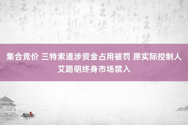集合竞价 三特索道涉资金占用被罚 原实际控制人艾路明终身市场禁入