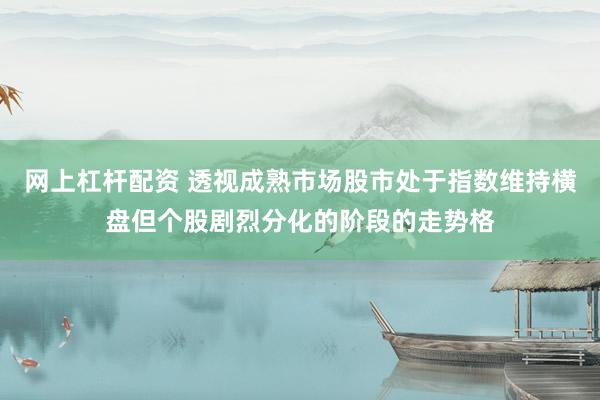 网上杠杆配资 透视成熟市场股市处于指数维持横盘但个股剧烈分化的阶段的走势格