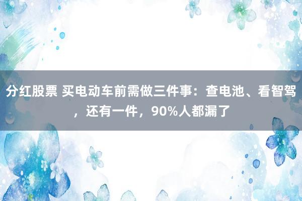 分红股票 买电动车前需做三件事：查电池、看智驾，还有一件，90%人都漏了
