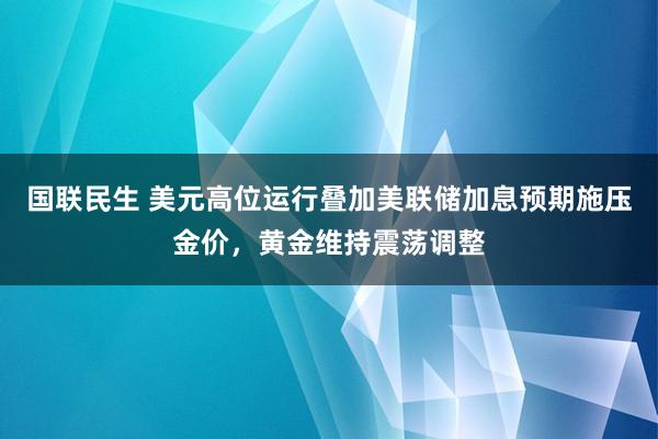 国联民生 美元高位运行叠加美联储加息预期施压金价，黄金维持震荡调整