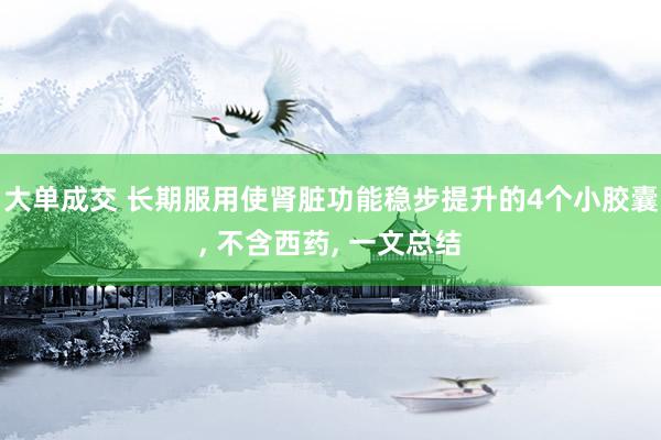 大单成交 长期服用使肾脏功能稳步提升的4个小胶囊, 不含西药, 一文总结