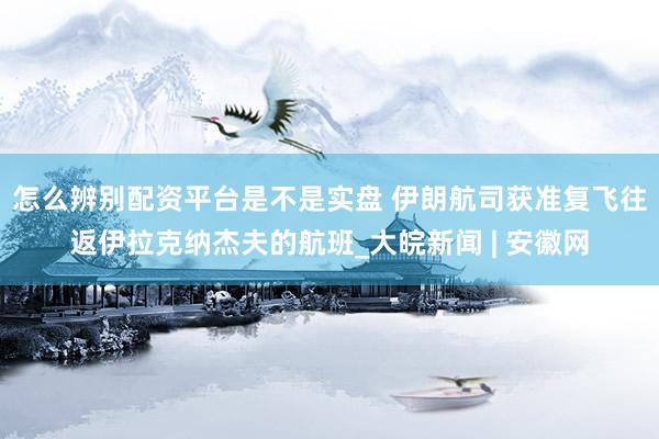 怎么辨别配资平台是不是实盘 伊朗航司获准复飞往返伊拉克纳杰夫的航班_大皖新闻 | 安徽网