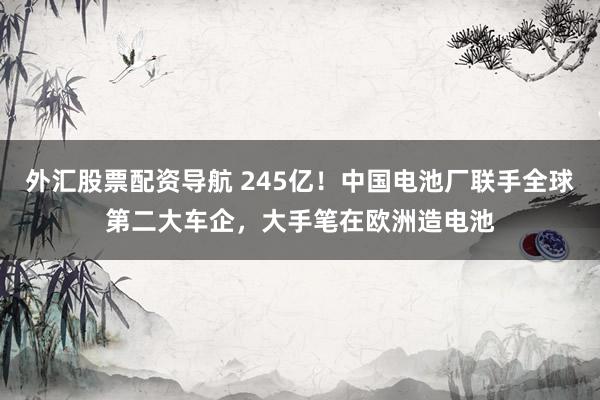 外汇股票配资导航 245亿！中国电池厂联手全球第二大车企，大手笔在欧洲造电池
