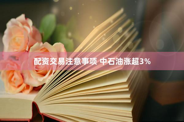 配资交易注意事项 中石油涨超3%
